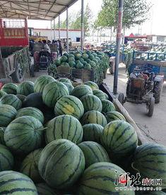 巨鹿县吃瓜事件,一场引发社会关注的网络风波