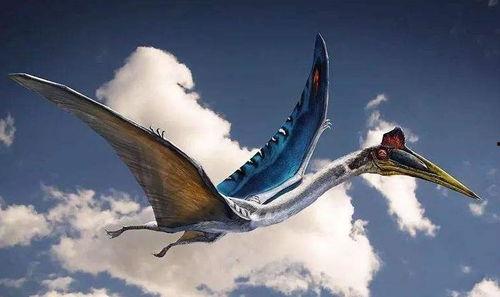 风神翼龙爆料了吗视频大全,揭秘神秘生物的传奇故事